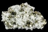 Gleaming Cubic Pyrite & Quartz Crystal Association - Peru #124445-1